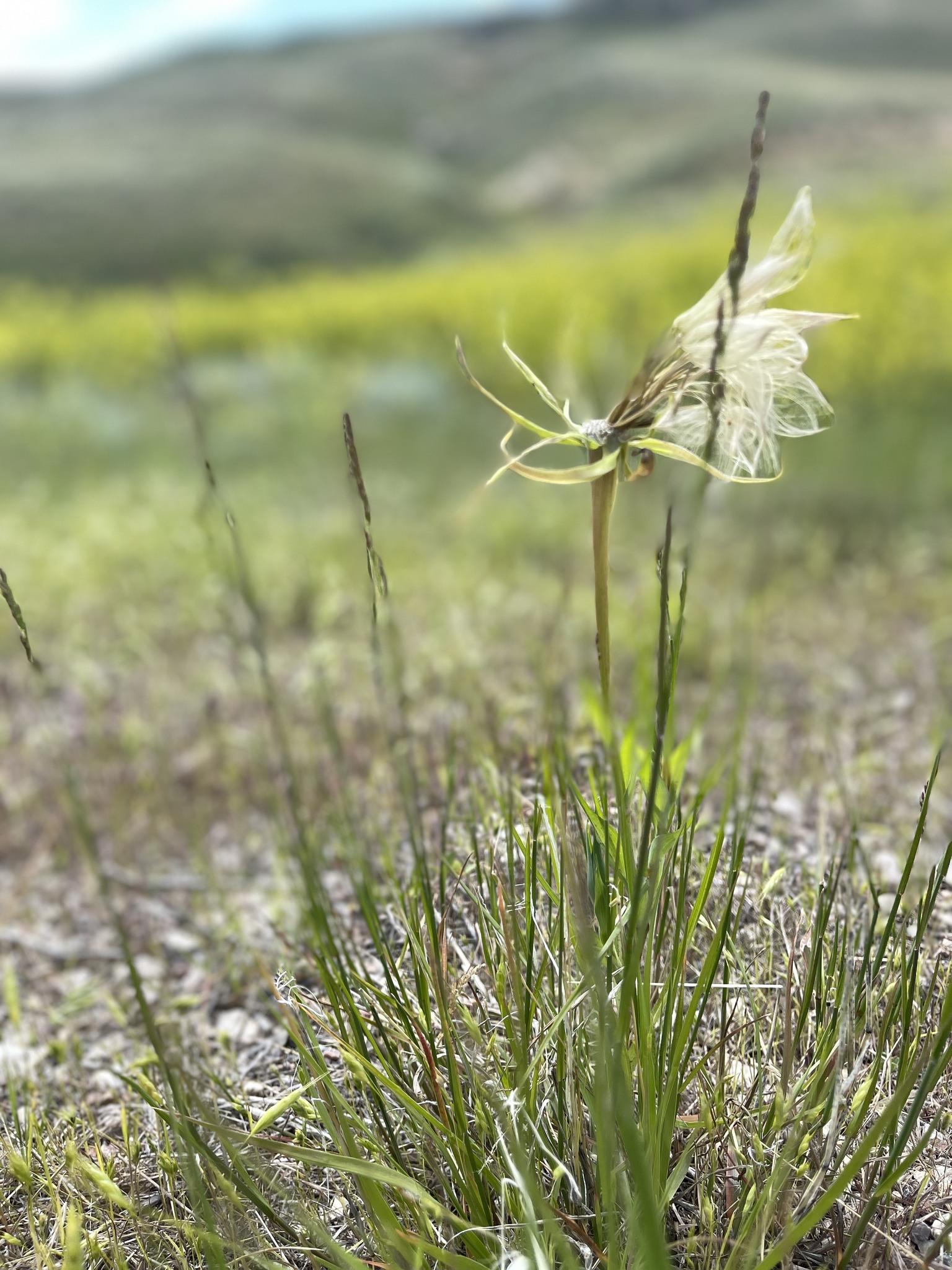 Enjoy the simplicity of nature around you.