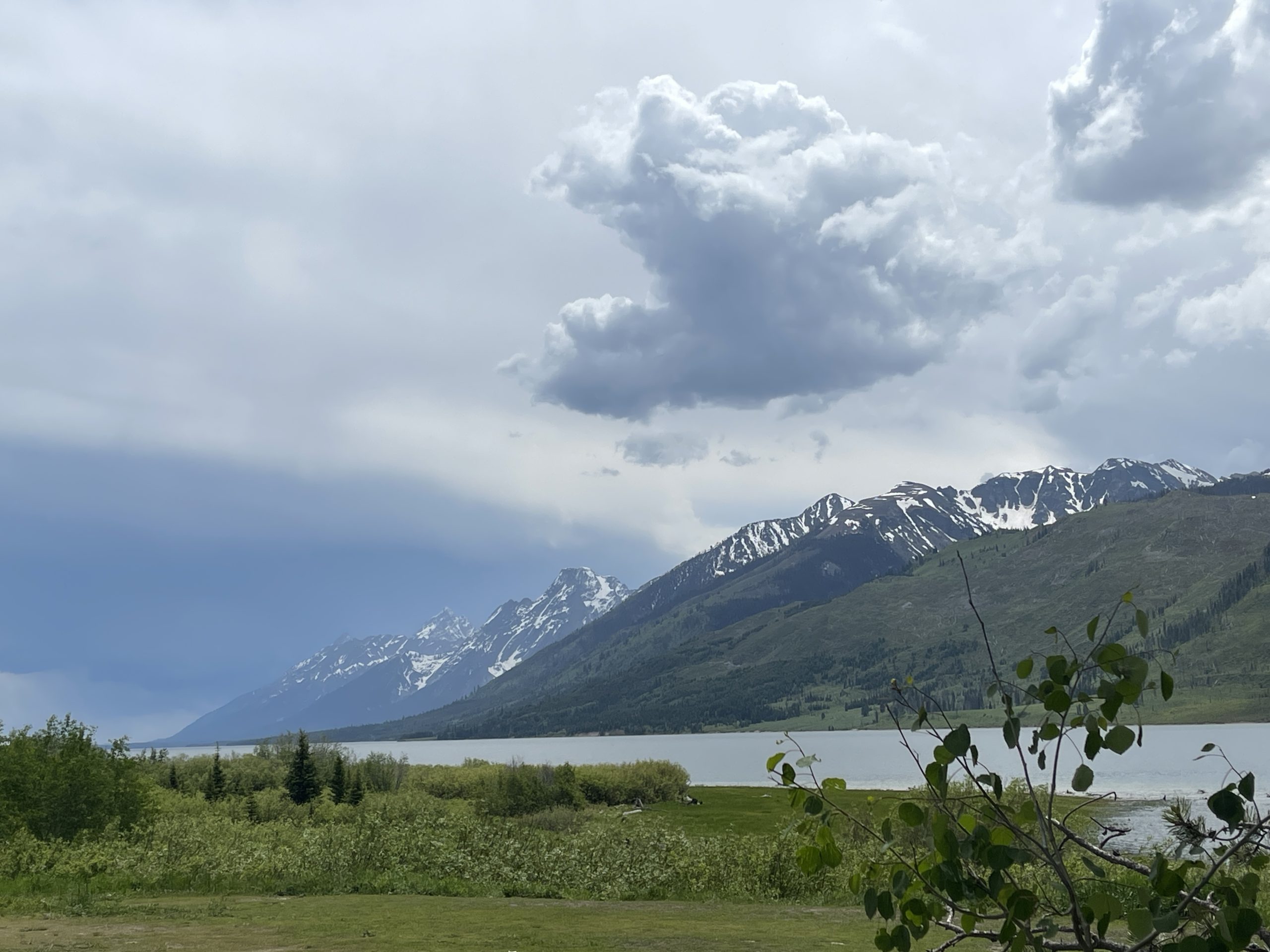 June 26 – Grant Village to Colter Bay.