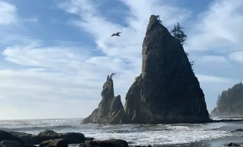 Rialto Beach to Forks